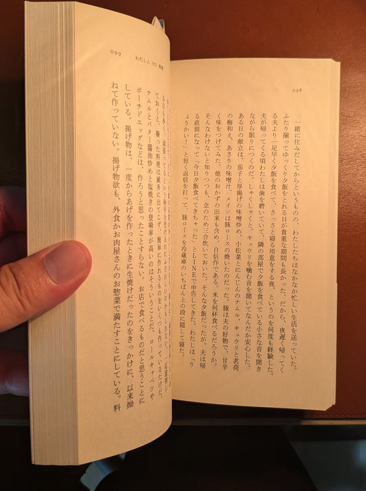 僕のマリ いかれた慕情 小説 文学 現代小説 青春の光と影 繊細な感情と葛藤を描く