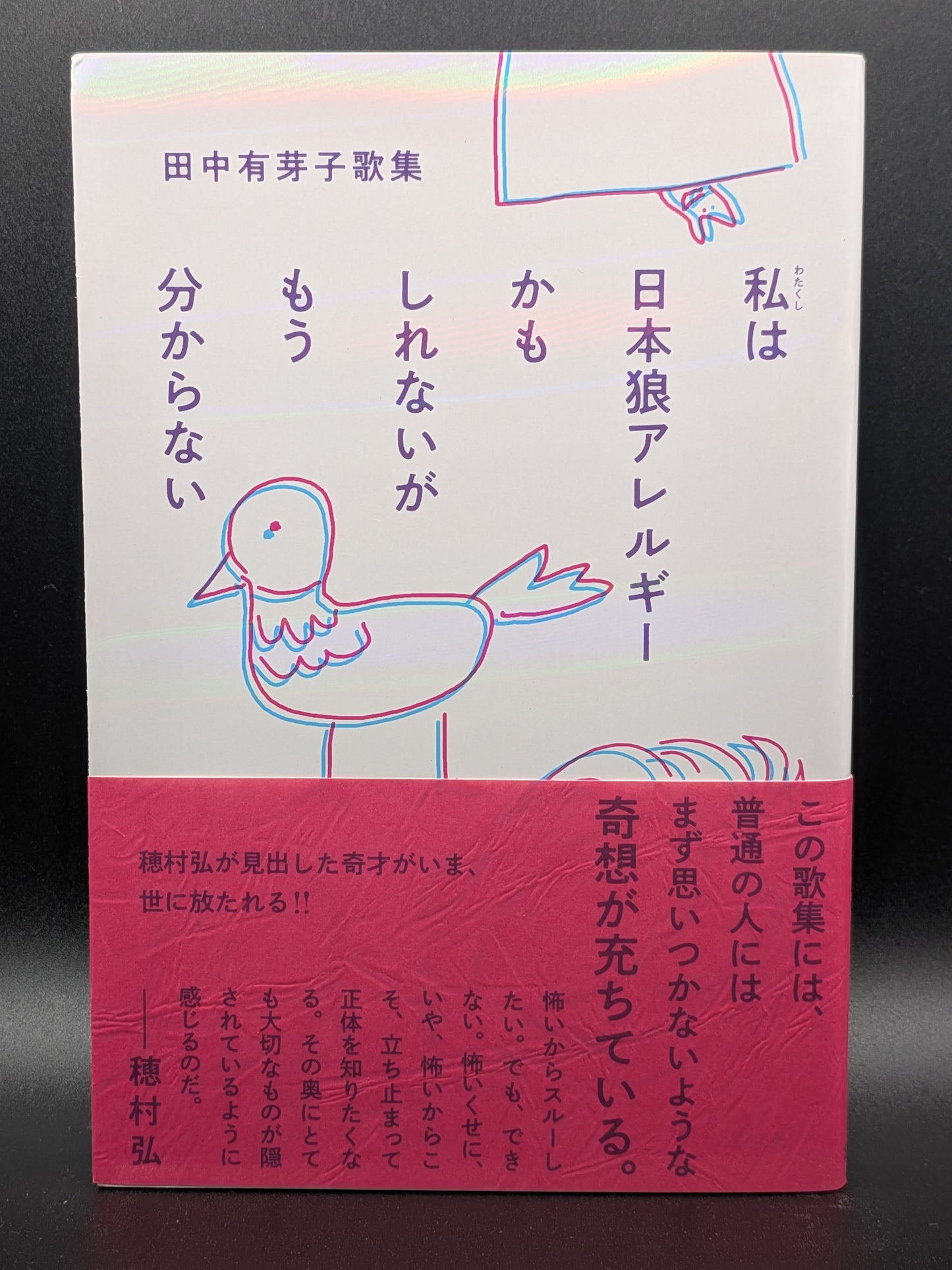 田中有芽子 私は日本狼アレルギーかもしれないがもう分からない 現代文学 エッセイ集