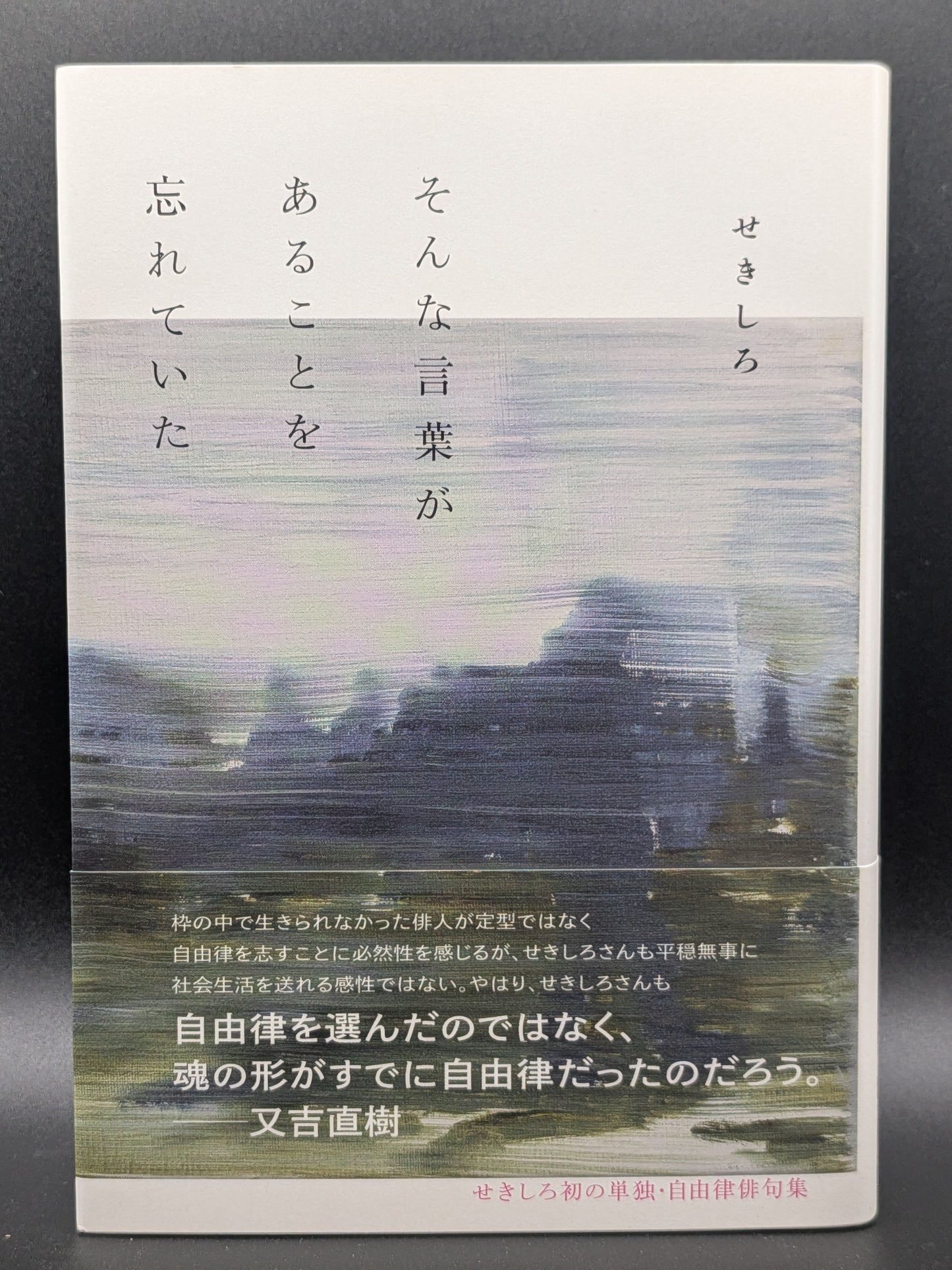 せきしろ そんな言葉があることを忘れていた 日常のささやかな発見 エッセイ 随筆集
