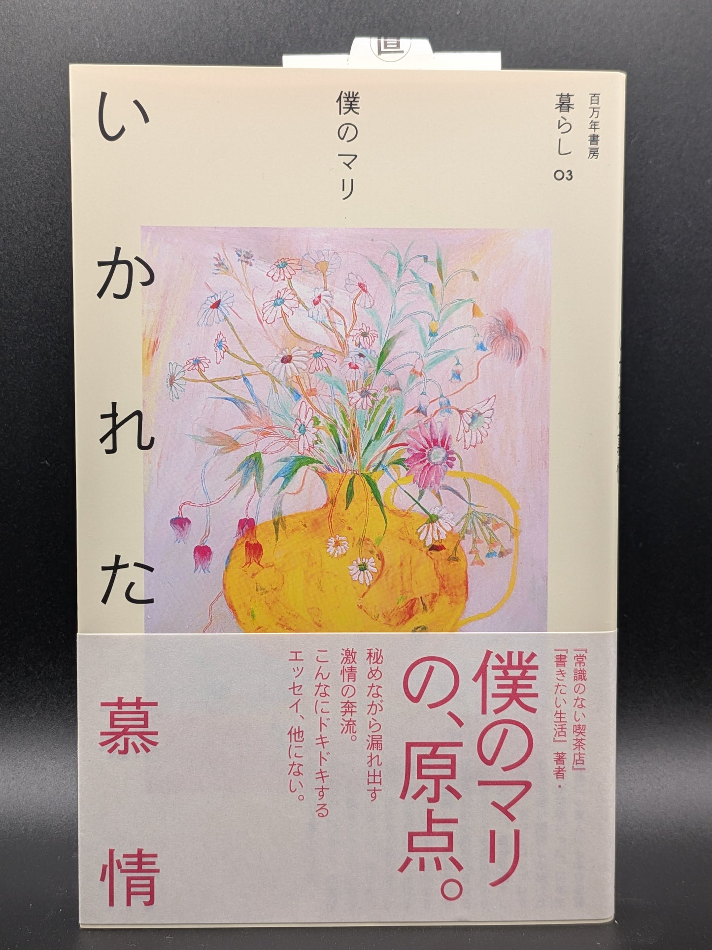 僕のマリ いかれた慕情 小説 文学 現代小説 青春の光と影 繊細な感情と葛藤を描く