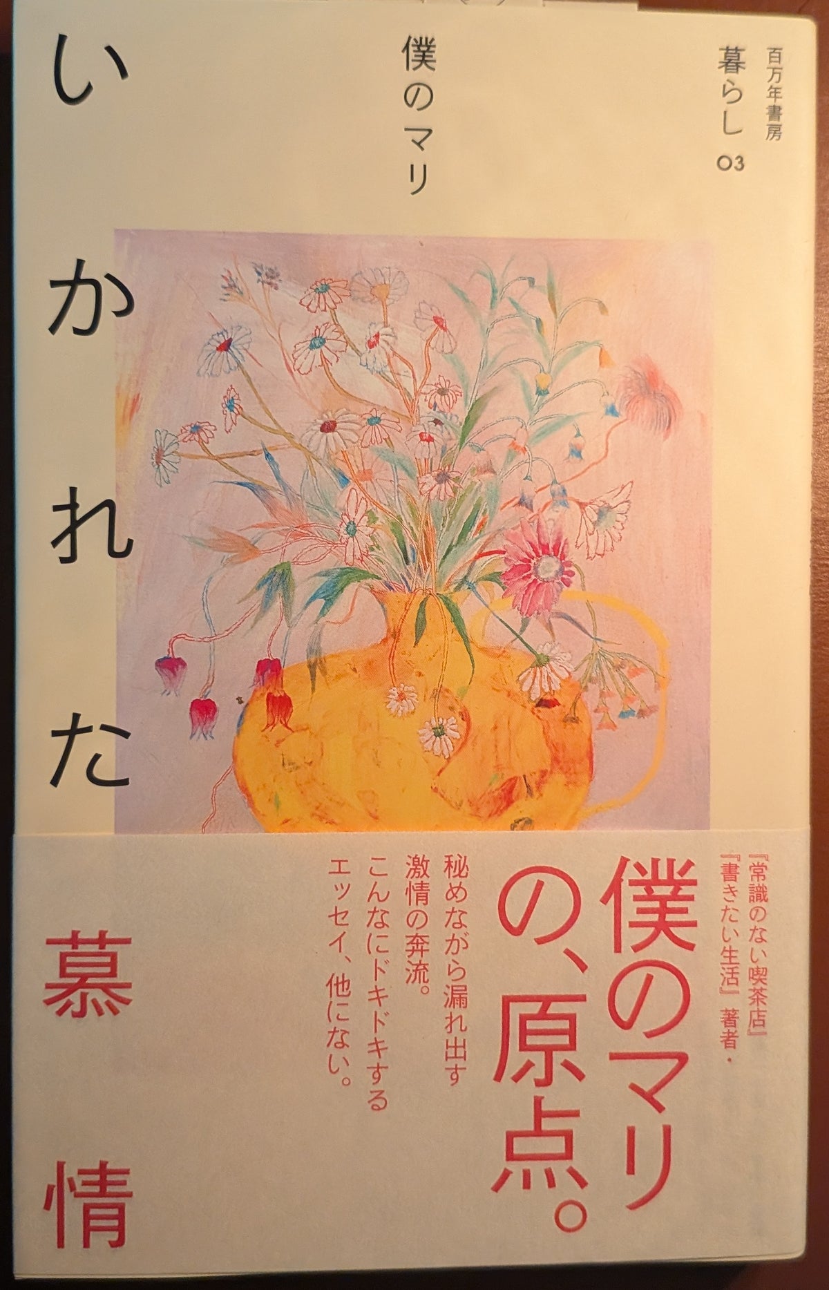 僕のマリ いかれた慕情 小説 文学 現代小説 青春の光と影 繊細な感情と葛藤を描く